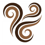 logo curly nights
