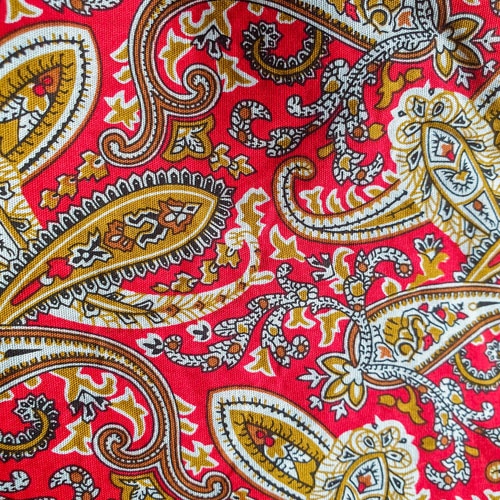 print cachemire paisley rot curly nights